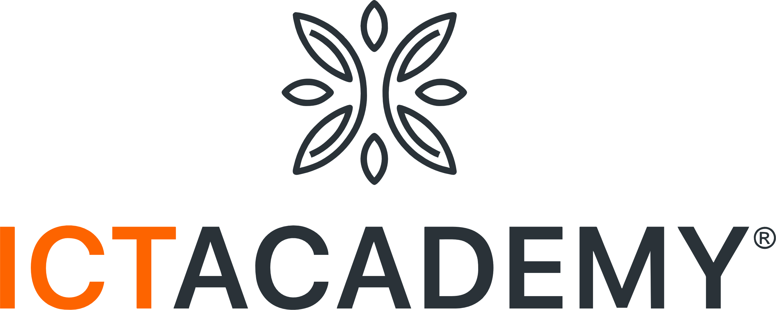 Cisco Academy